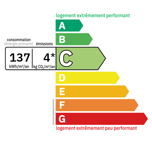 D.P.E : C (137)